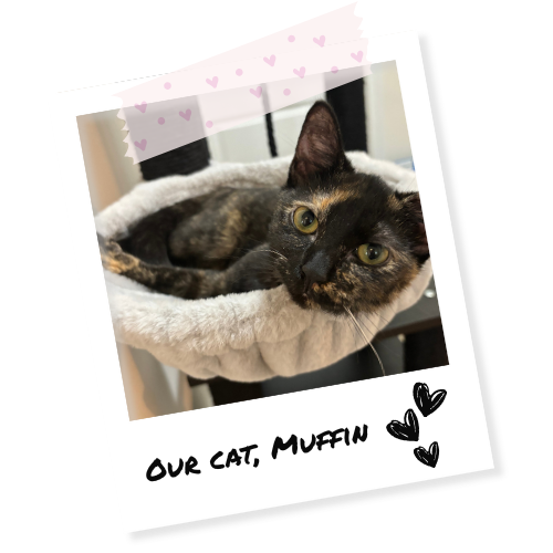 A polaroid of Ashley's family cat, Muffin